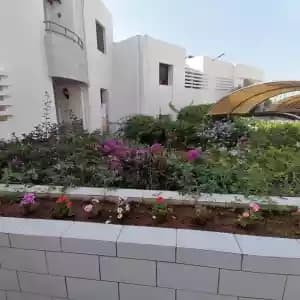 appartement-a-louer-03161