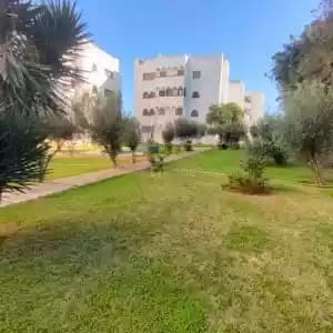 appartement-a-louer-03516