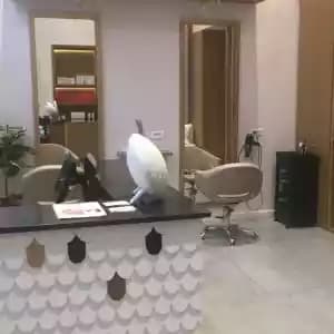 magasins-a-vendre-03590