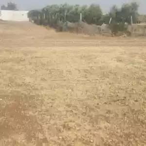 terrains-et-fermes-a-vendre-04554