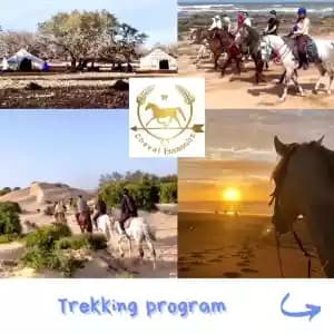 images-bivouac-maison-dhote-cheval-05616