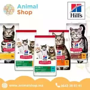 images-animalerie-hills-nutrition-animale-05644