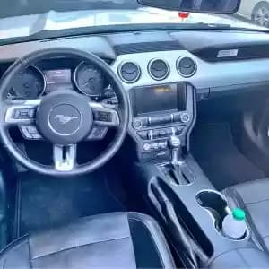 images-ford-mustang-06284