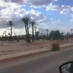 images-terrain-a-vendre-06370