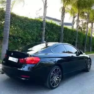 images-voiture-occasion-pack-sport-line-pack-m-bmw-serie-420d-06407