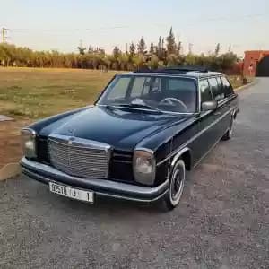 images-240-limousin-mercedes-collection-1974-06447