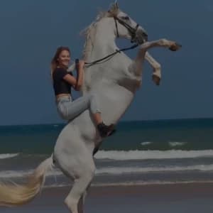 video-shooting-chevaux-photographie-de-chevaux-chevaux-sur-la-plage-monde-equestre-06688