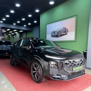 images-audi-q3-07623