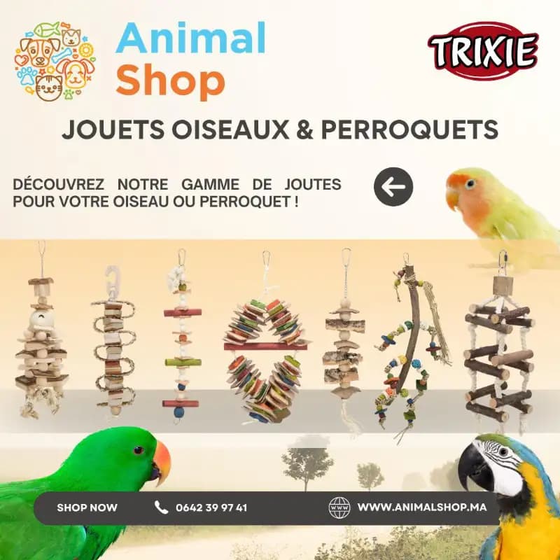 carousel-1