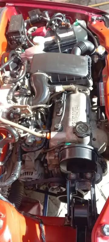 images-suzuki-alto-2009-06279