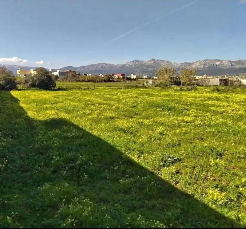 images-terrain-a-vendre-06287