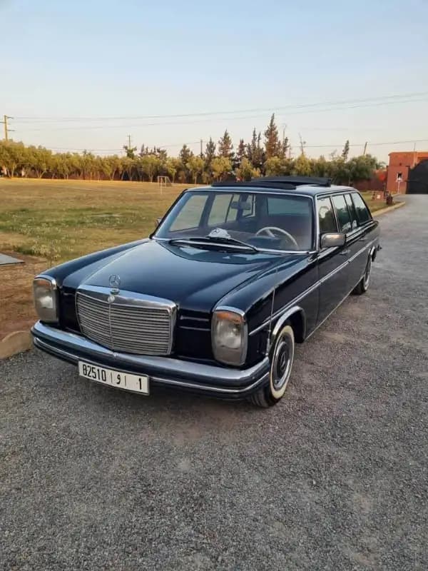 images-240-limousin-mercedes-collection-1974-06447
