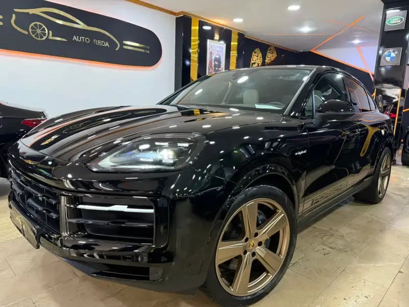 images-porsche-cayenne-hybrid-06489