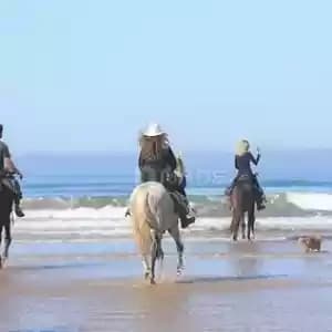 voyages-et-billetterie-01801