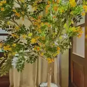 meubles-et-decoration-02650