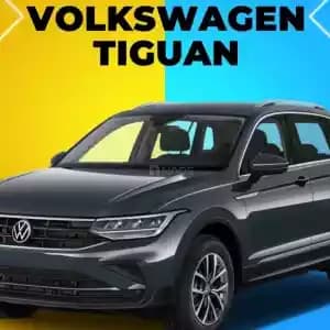 voiture-de-location-03480