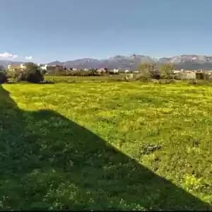 images-terrain-a-vendre-06287