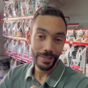 video-glace-pour-chien-friandises-pour-chien-fidovet-gelato-06838