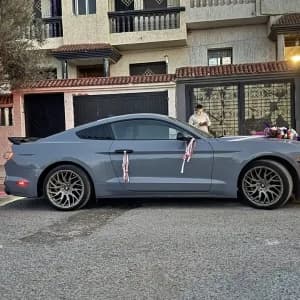 images-voitures-doccasion-mustang-ecoboost-06871