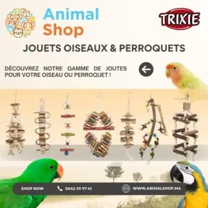 images-jouets-pour-oiseaux-perruches-06873