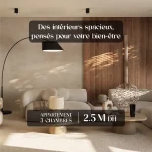 images-appartements-a-vendre-studios-a-vendre-06990