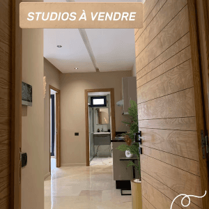images-immobilier-appartements-a-vendre-studios-luxe-studio-meuble-vente-immobilier-achat-appartement-prix-immobilier-07103