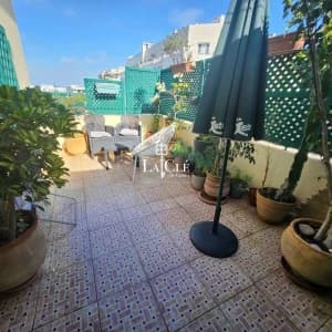 images-appartements-a-louer-appartements-meubles-07934