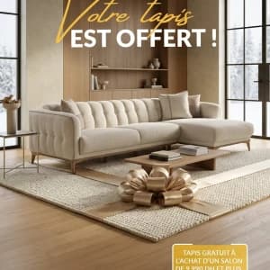 images-tapis-salons-moderne-10588
