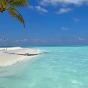 video-voyages-11164