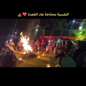 video-trips-11175