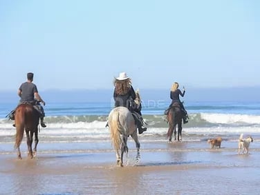 voyages-et-billetterie-01801