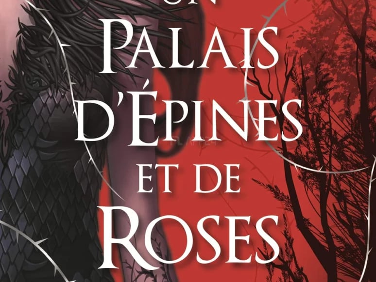 film-livres-et-magasines-04538